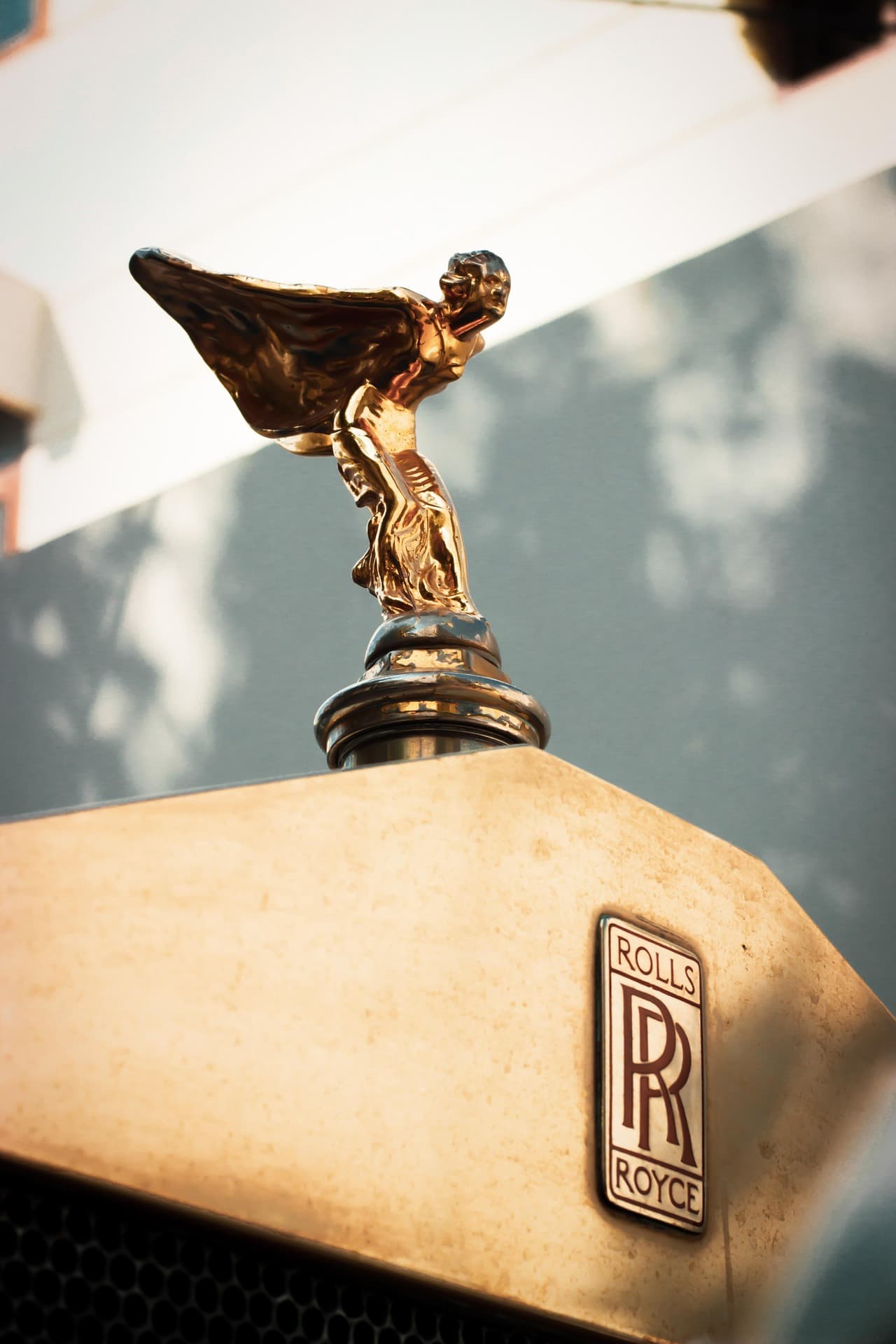 Close-up of a badge on dark vehicle bodywork